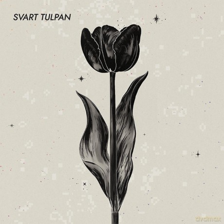 Svart Tulpan: Svart Tulpan - Remix [CD]