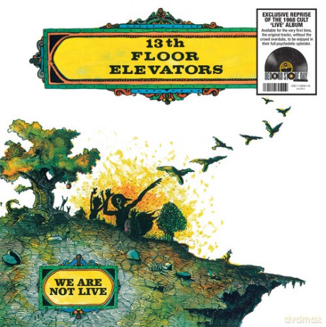 13th Floor Elevators: We Are Not Live (RSD 2026) [Winyl]