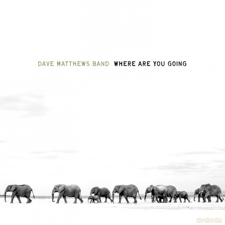Dave Matthews Band: Where Are You Going: The Singles [Winyl]