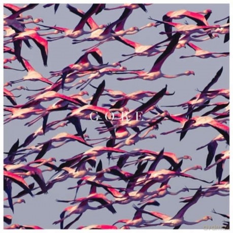 Deftones: White Pony (20th Anniversary Deluxe) [Winyl]