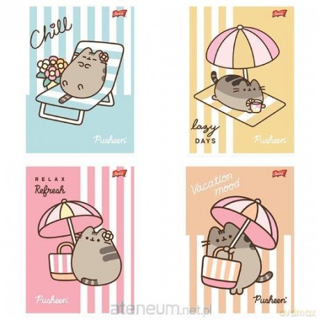 Zeszyt A5/32k linia dwukolorowa Pusheen (15szt)