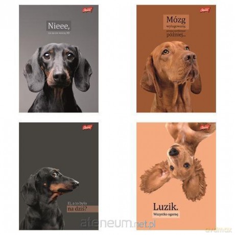 Zeszyt A5/60k kratka Doggy Moods (10szt)