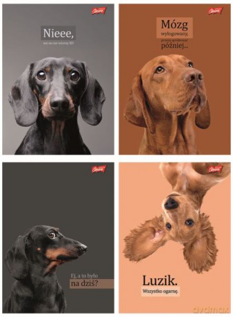 Zeszyt A5/60k kratka Doggy Moods (10szt)