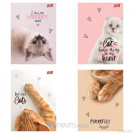 Zeszyt A5/60k kratka Purrfect Moments (10szt)