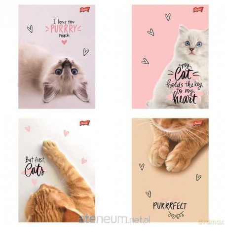 Zeszyt A5/60k linia Purrfect Moments (10szt)