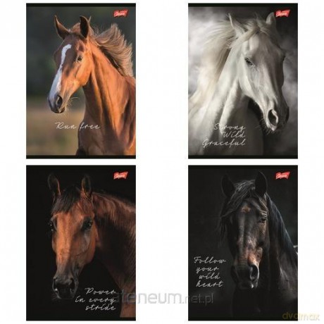 Zeszyt A5/60k linia Wild Heart (10szt)
