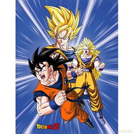 Dragon Ball KOC 130x170cm