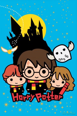 Harry Potter KOC 100x150cm