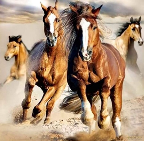 Horses Pościel, 140x200cm + 70x90cm