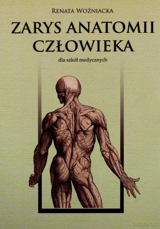 Zarys anatomii człowieka [KSIĄŻKA]