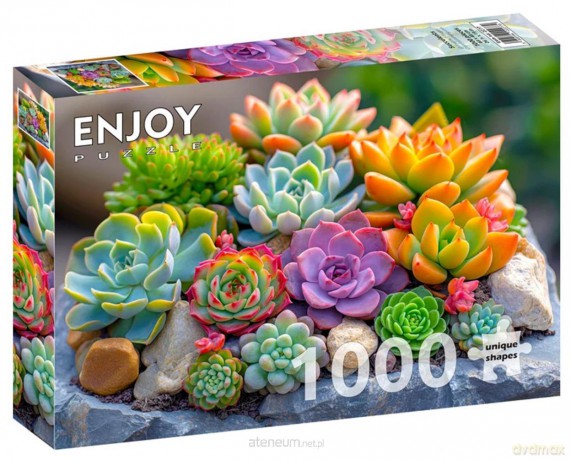 ENJOY 1000 el. Sukulenty [PUZZLE]