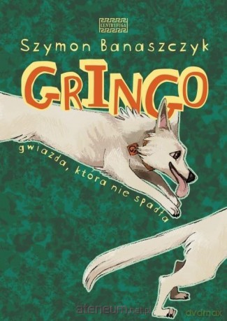 Gringo. Gwiazda, która nie spadła - Szymon Banaszczyk [KSIĄŻKA]