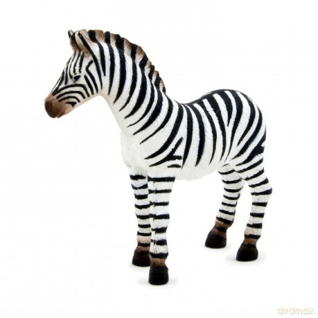 Zebra ANIMAL PLANET