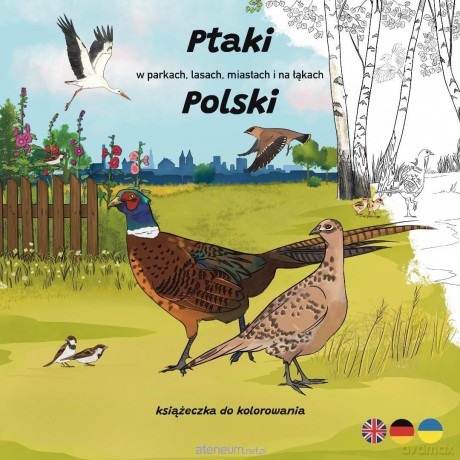 Ptaki w parkach, lasach, miastach i na łąkach - Ksenia Potępa [KSIĄŻKA]