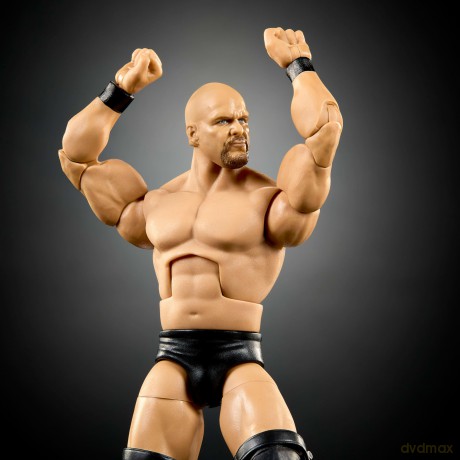 Mattel WWE Elite Collection: Summerslam - Stone Cold Steve Action Figure (JHX79) [FIGURKA]