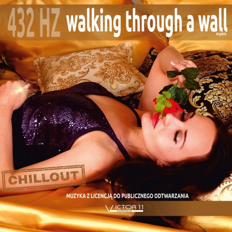 Walking Through A Wall 432 Hz: M.Yaro [CD]