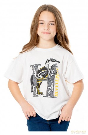 Harry Potter Kids T-Shirt Hufflepuff Mosaic Size 12-13