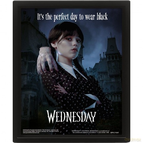 Wednesday Wednesday 3D Lenticular Framed Poster Perfect Day 26 x 20 cm