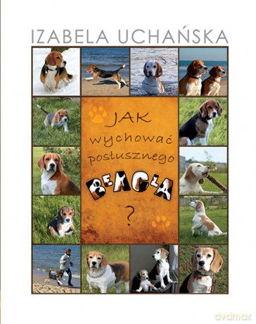 Jak wychować posłusznego beagla - Izabela Uchańska [KSIĄŻKA]