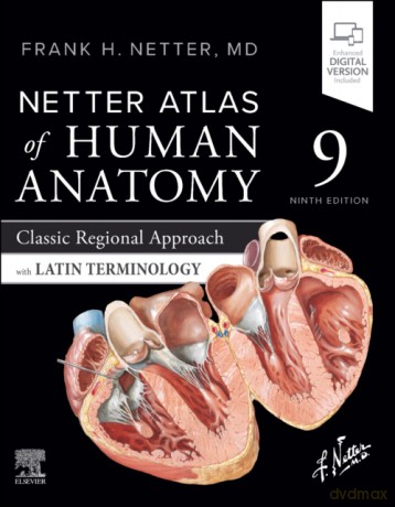 Netter Atlas of Human Anatomy. Classic Regional Approach with Latin Terminology - Frank H. Netter [KSIĄŻKA]