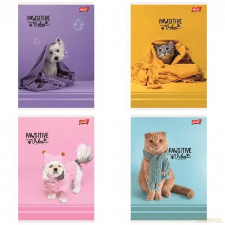 Paczka Zeszyt A5 32k.linia dwukolorowa okładka laminowana Pawsitive Vibes mix 15 sztuk