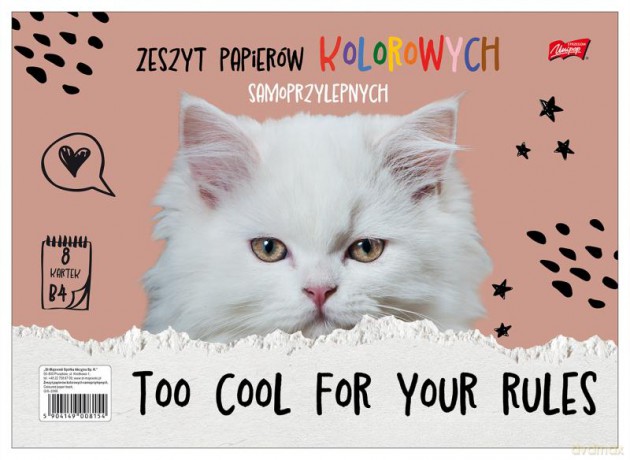 Paczka Zeszyt papierów kolorowych samoprzylepnych B4 okładka kredowana 25 sztuk
