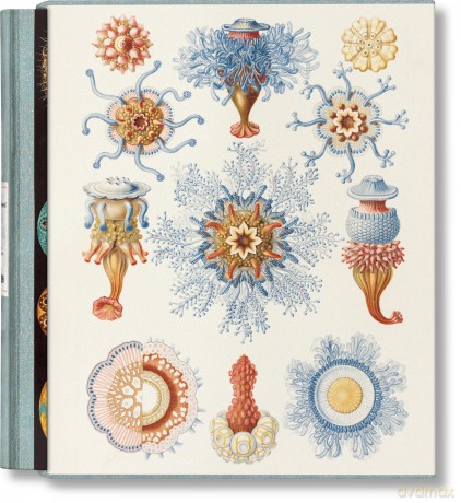 The Art and Science of Ernst Haeckel - Julia Voss, Rainer Willmann [KSIĄŻKA]