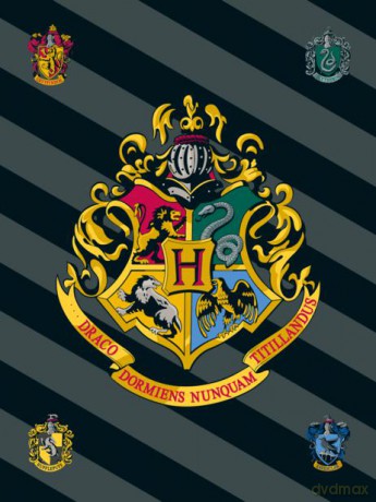 Koc polarowy Harry Potter HP067 100x150