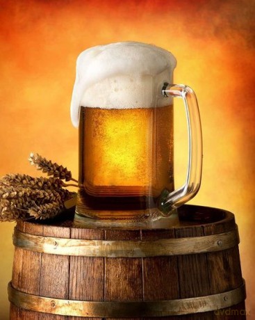 Microflannel koc 120x150 Beer