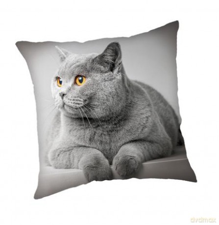 Poduszka 45x45 cover Grey Cat