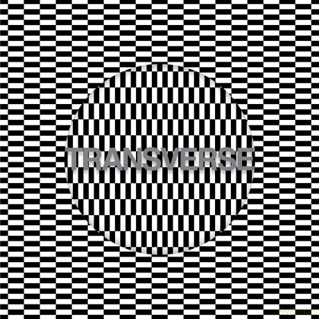 Carter Tutti Void: Transverse [CD]