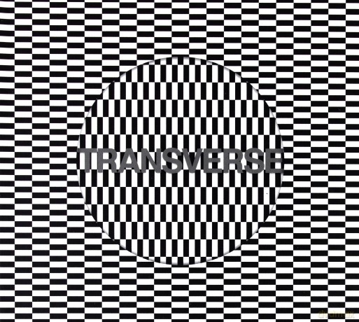 Carter Tutti Void: Transverse [CD]