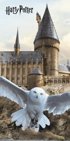 Ręcznik Harry Potter Hedwig 02