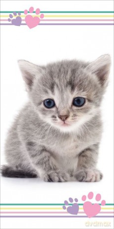 Ręcznik Kitten colour 70x140