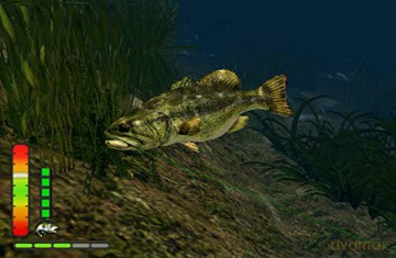 Bass Pro Shops: The Strike (Championship) [GRA SWITCH]