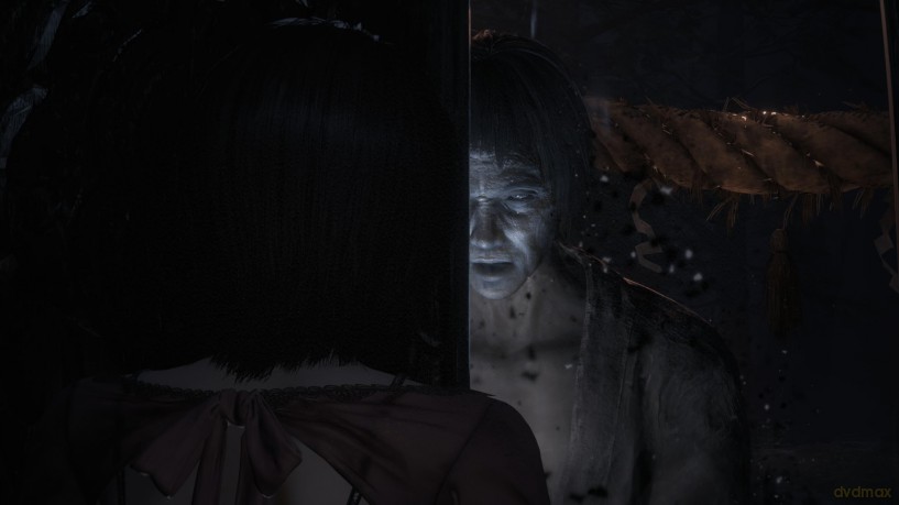 Fatal Frame II: Crimson Butterfly REMAKE [GRA PS5]