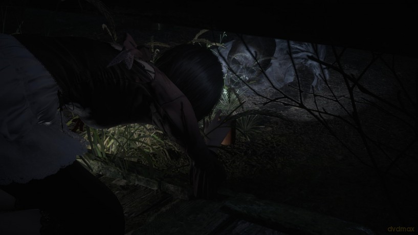 Fatal Frame II: Crimson Butterfly REMAKE [GRA PS5]