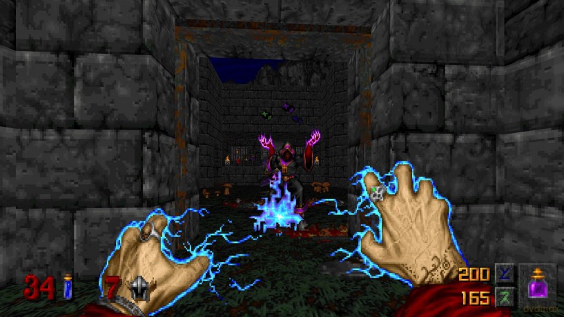 Heretic + Hexen (Limited Run) [GRA PS5]
