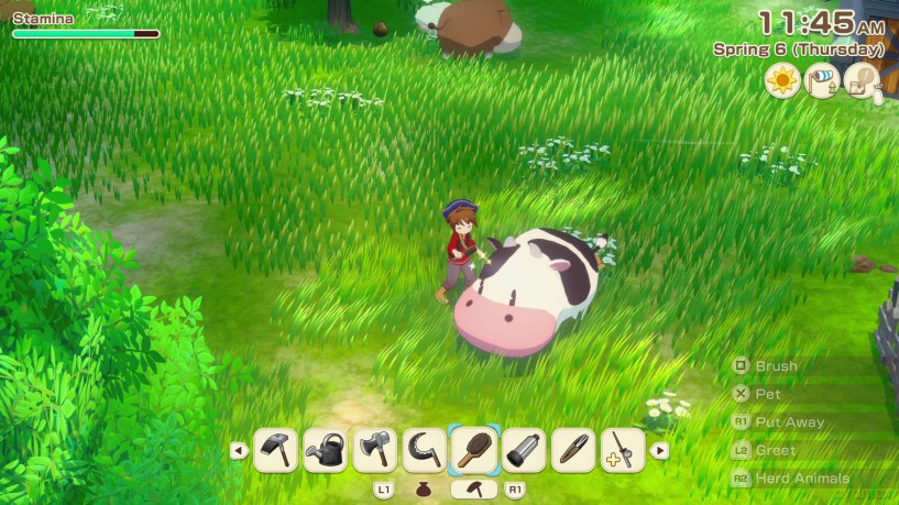 Story of Seasons: Grand Bazaar [GRA PS5]