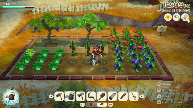 Story of Seasons: Grand Bazaar [GRA PS5]