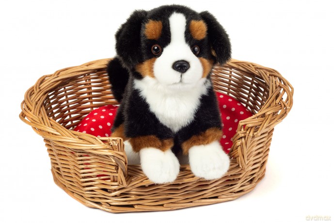 Teddy Hermann - Sitting Bernese Mountain Dog 21 cm (919728)