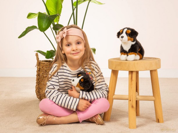 Teddy Hermann - Sitting Bernese Mountain Dog 21 cm (919728)