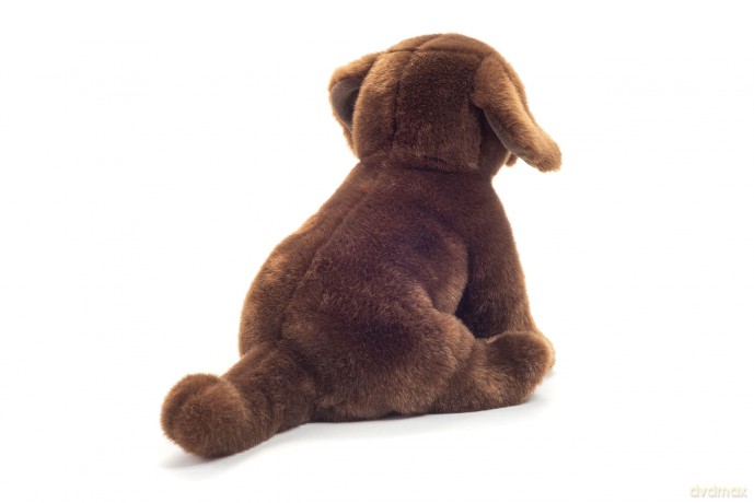 Teddy Hermann - Sitting Labrador dark brown 25 cm (919582)