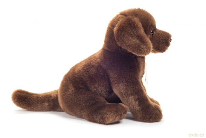 Teddy Hermann - Sitting Labrador dark brown 25 cm (919582)