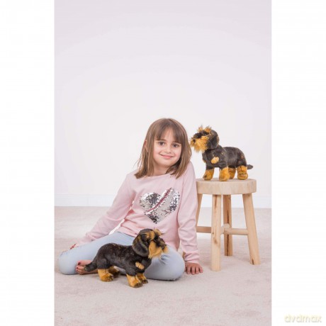 Teddy Hermann - Standing Rough-haired Dachshund 28 cm (919230)