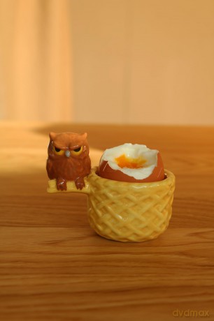 Winkee - Egg Cup Grumpy Owl Moody