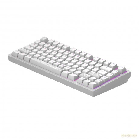 Dark Project ALU Terra Nostra R2 White - Wired Gaming Keyboard (ANSI)