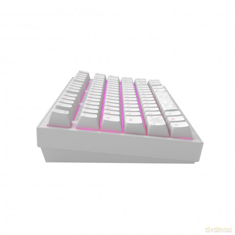 Dark Project ALU Terra Nostra R2 White - Wired Gaming Keyboard (ANSI)