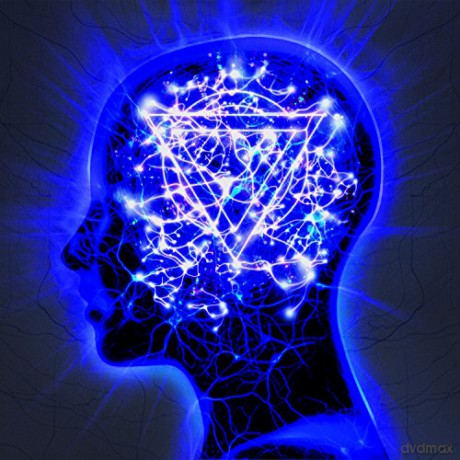 Enter Shikari: The Mindsweep (Limited Edition) [CD]+[DVD]