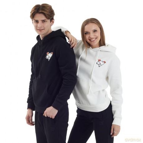 Virtus.pro Hoodie classic w/pocket white, S